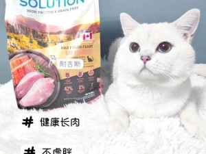 猫咪有你有我足矣入口 2021，优质猫粮，营养健康，让猫咪爱不释口