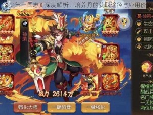 《少年三国志》深度解析：培养丹的获取途径与应用价值