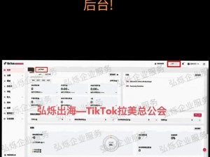 免费入口 TIKTOK，流连忘返体验无限精彩