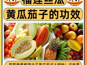 让你垂涎欲滴的草莓、丝瓜、黄瓜、向日葵、榴莲，你值得拥有