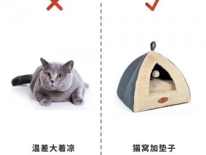 轻松解压：猫咪安装指南与配置说明手册