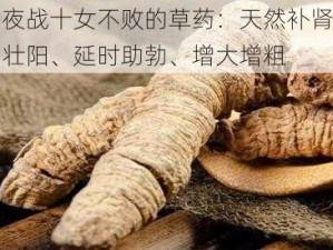 夜战十女不败的草药：天然补肾壮阳、延时助勃、增大增粗