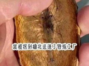 活体肉莲什么意思？;活体肉莲是什么意思？