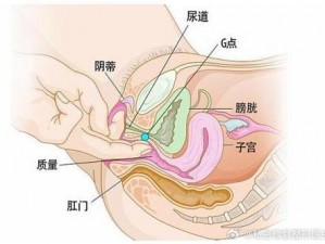 一女被三人添 A 片——女性私密部位护理专家