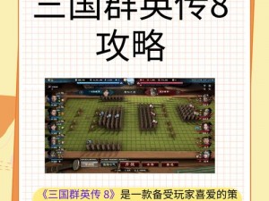 三国群英传8二周目玩法深度解析：策略布阵与英雄成长互动体验提升指南