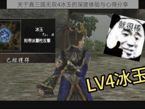 关于真三国无双4冰玉的深度体验与心得分享