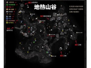 《古墓丽影9》N卡优化帧数技巧：深度解析与实战指南》