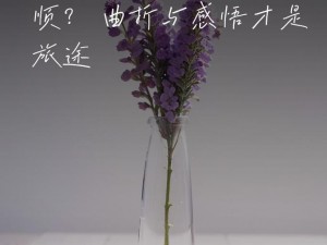 人生风雨相伴，旋律中的坚韧与希望之歌