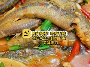 楚留香红烧鲤鱼菜谱详解：购买指南及独家烹饪秘诀分享