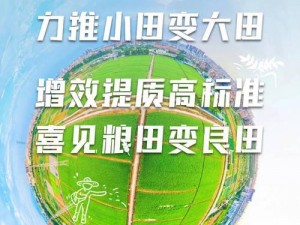 大地资源中文第3页 如何在大地资源中文第 3 页中快速找到所需信息？