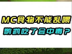 我的世界揭秘：鹦鹉能否享用曲奇饼干？探究鹦鹉饮食习性及曲奇的安全性