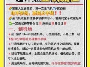 《正当防卫2》飞机获取攻略全解析：掌握关键步骤，轻松获取飞行装备