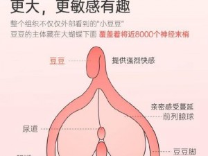 含着她两个硕大的乳峰视频 A 片：成人玩具，让你体验极致快感