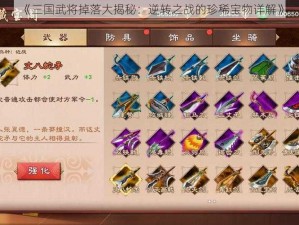 《三国武将掉落大揭秘：逆转之战的珍稀宝物详解》