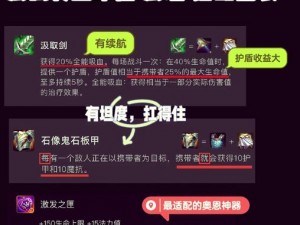 黑暗之魂2焚身火大盾攻略详解：实战打法技巧分享与战略指南