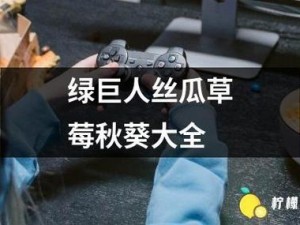 草莓樱桃丝瓜绿巨人秋葵污绿巨人，成人用品中的战斗机，持久耐用，让你爽到爆