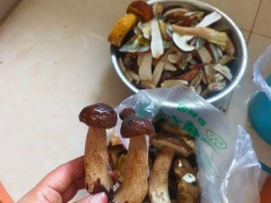 舅舅的蘑菇好吃吗-舅舅的蘑菇：美味之谜