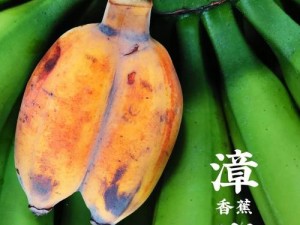 绿色健康，口感鲜美，让你回味无穷的水果盛宴：香蕉丝瓜草莓榴莲茄子绿巨人视频