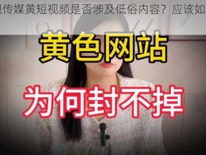 麻豆视传媒黄短视频是否涉及低俗内容？应该如何避免？