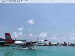 珊瑚岛的温室构建之旅：寻找最合适的领导者主导项目推进