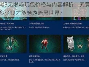 暗黑3无限畅玩包价格与内容解析：究竟要花多少钱才能畅游暗黑世界？