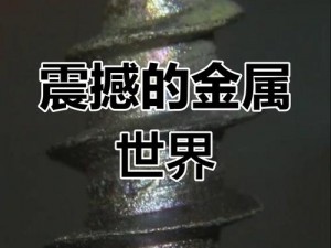 闪亮金属_探索闪亮金属的奥秘