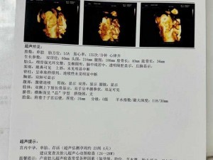 网络小说家模拟：解析四维数值判断作品质量——四维数据详解探秘