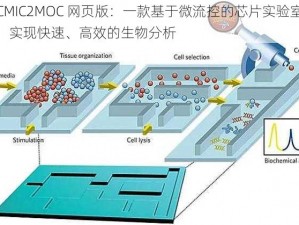 JMCMIC2MOC 网页版：一款基于微流控的芯片实验室系统，实现快速、高效的生物分析