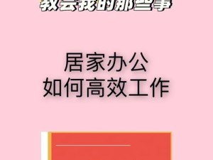 年经年经母年经 2 的，高效办公新选择