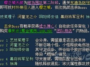 倩女幽魂手游精英寇岛BOSS攻略：揭秘第三个BOSS打法技巧与战斗策略