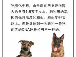 狗狗与人类DNA(狗狗与人类 DNA 有何异同？)