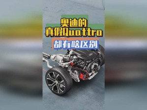 7X7X7X任意槽2023进口【7X7X7X 任意槽 2023 进口：探索未知的神秘世界】