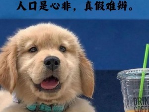 狗儿、狗儿的眼睛为什么是蓝色的呢？