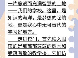 犯错把筷子放屁眼里不能掉的作文：高品质文具，让学习更轻松