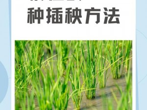 夫妻之间的 108 种插秧法图片：为什么选择这种方式？如何找到合适的方法？怎样才能更和谐？