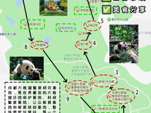 火熊猫攻略：探寻四川独特魅力之旅的全方位指南