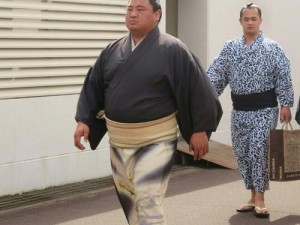 日本相扑手在樱花树下拍写真 可爱又辣眼睛(日本相扑手在樱花树下拍写真，这是可爱还是辣眼睛？)