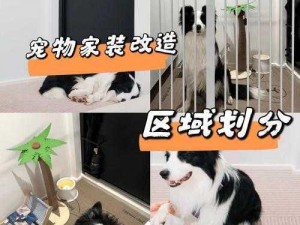 关于家居改造与萌宠养育的新奇体验：探索家居改造王的多元玩法，揭秘家园全面革新与宠物养成之道