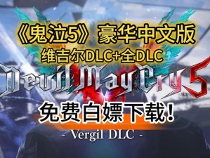 解决《鬼泣5》中d3dcompiler_43.dll错误的有效方法：详细教程与解决方案分享