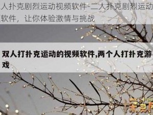 二人扑克剧烈运动视频软件-二人扑克剧烈运动视频软件，让你体验激情与挑战