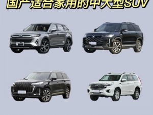 国产 SUV 精二区 69，高品质大空间，让你的出行更舒适