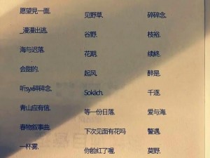 2023 年四虎海外网名大全，如何找到你需要的？