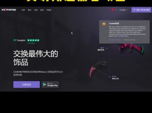 俄罗斯出售 CSGO 游戏道具的官方网站