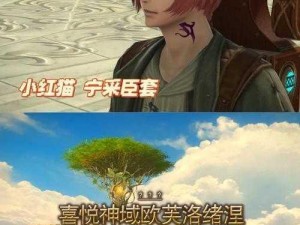 《懒人宏攻略：解锁《最终幻想14》生活职业的便捷操作》