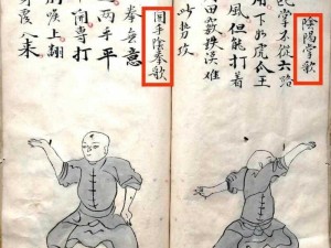 一代宗师武功传承揭秘：四大套路独步武林，精妙技艺尽在掌握中