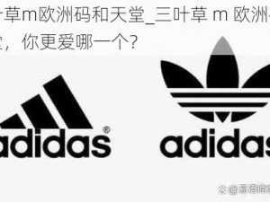 三叶草m欧洲码和天堂_三叶草 m 欧洲码和天堂，你更爱哪一个？