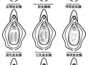 初女破初的视频是一部探索女性私密部位的教育片