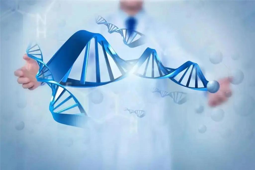 探究欧洲人与亚洲人 DNA 差异的基因检测产品