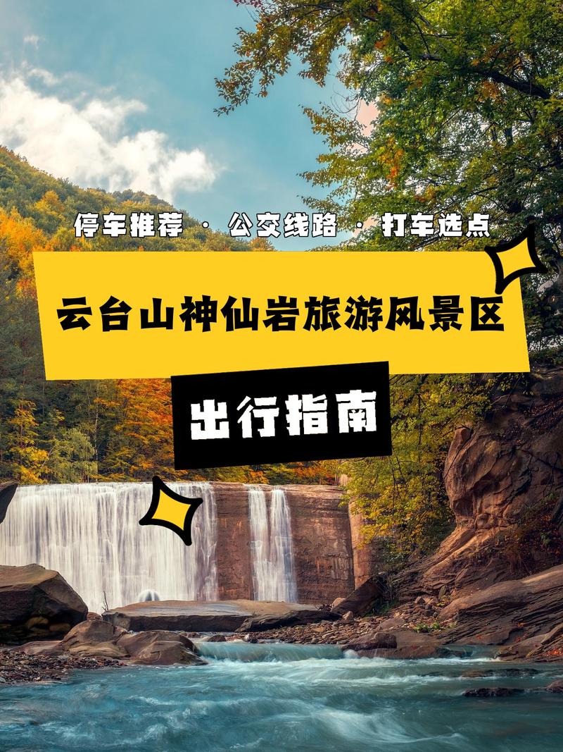 泰拉瑞亚常规鱼类与珍稀物品获取攻略：全方位指南助你收获丰富资源