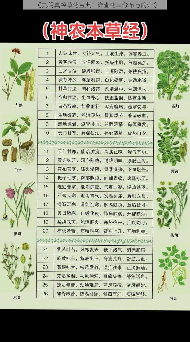 《九阴真经草药宝典：详查药草分布与简介》